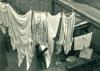 Washing-day in the Backyards