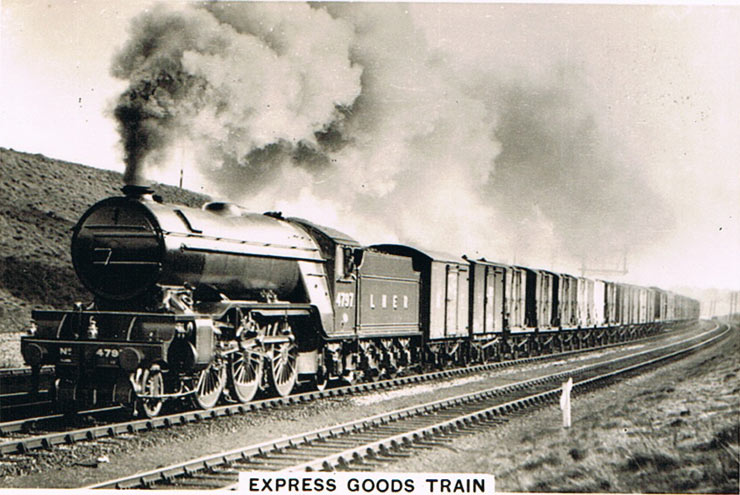 Express goods train