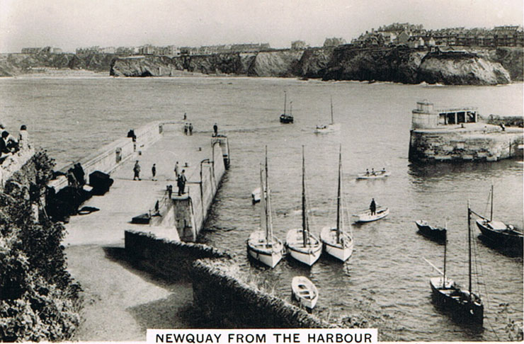 Newquay from the Harbour