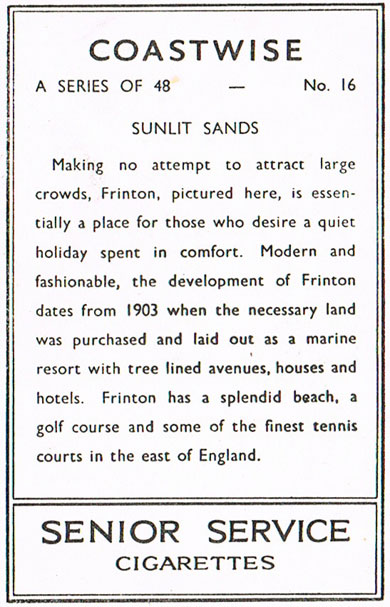 Sunlit Sands