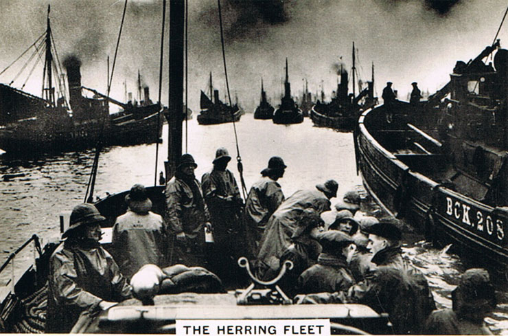 The Herring Fleet