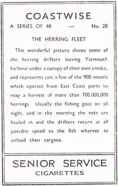 The Herring Fleet