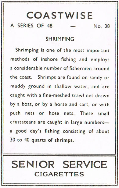 Shrimping