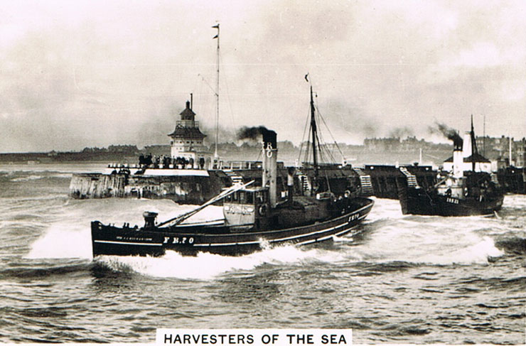 Harvesters of the Sea
