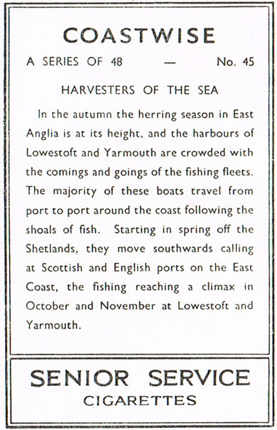 Harvesters of the Sea