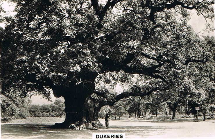 Dukeries