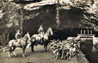 Wookey Hole Caves