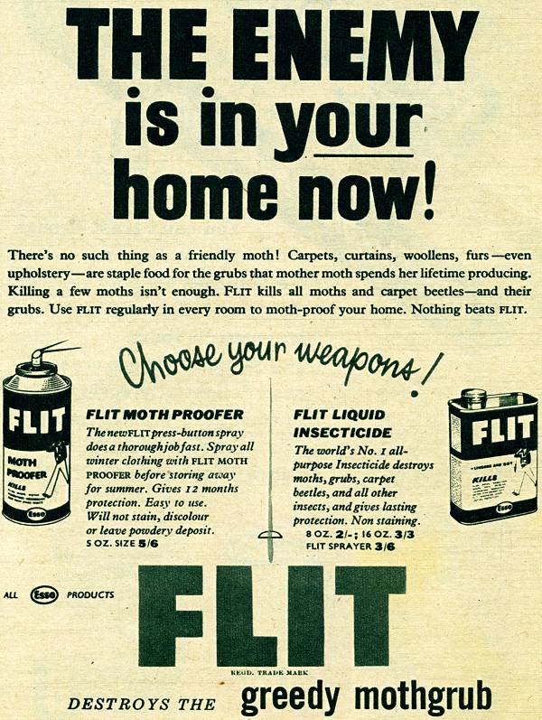 Flit