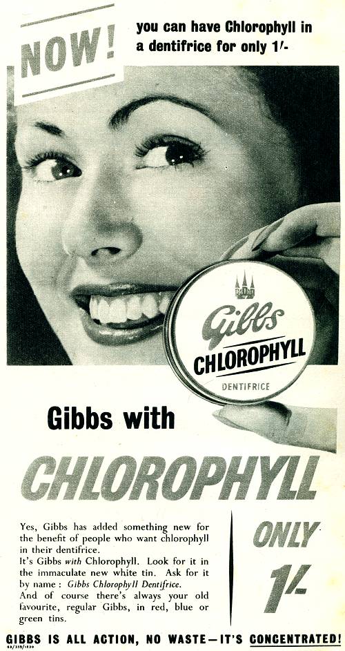 Gibbs Chlorophyll