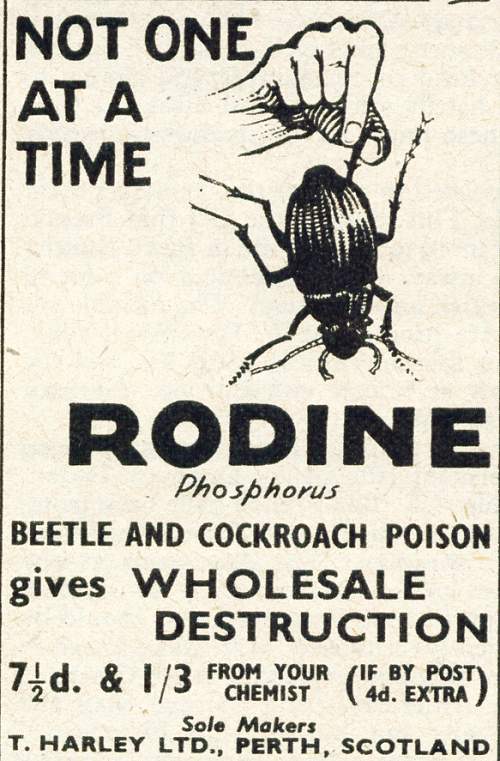 Rodine