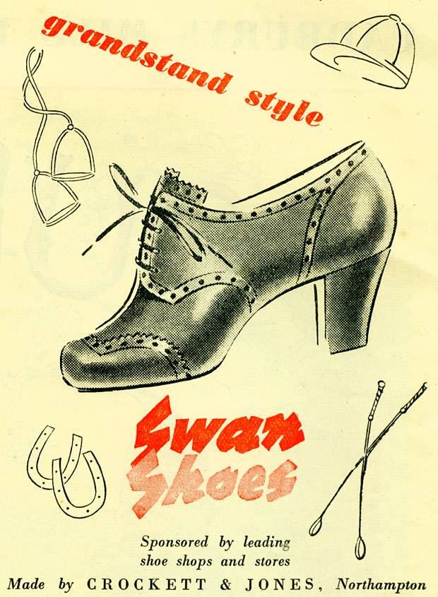 Swan Shoes