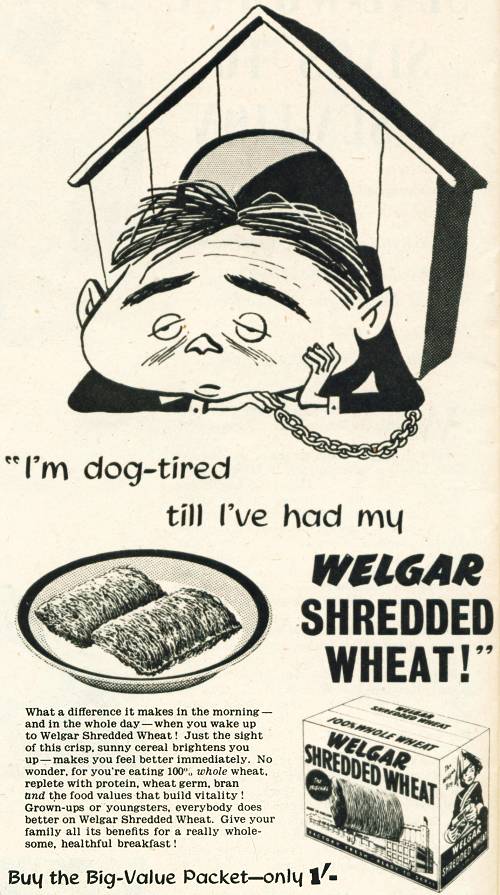 Welgar Shredded Wheat