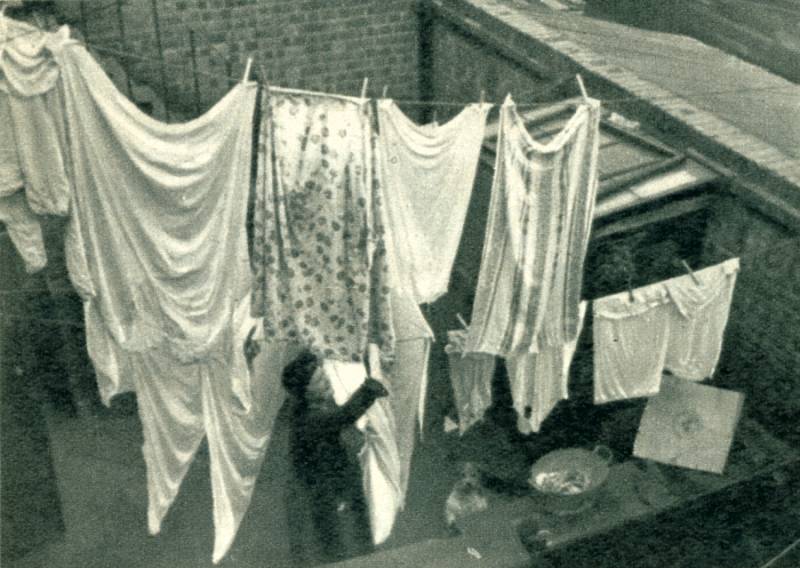 Washing-day in the Backyards